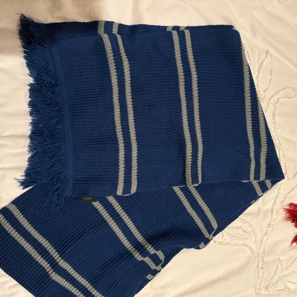 Blue and Gray Striped Scarf